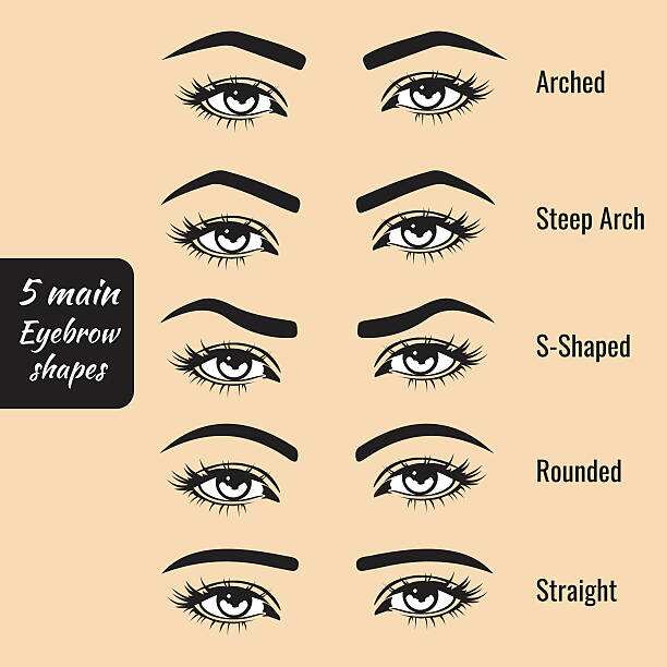 Types Of Eyebrows