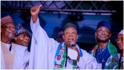 Presidential ticket: Confusion, intrigues as screening report not ready 72 hours to APC primary