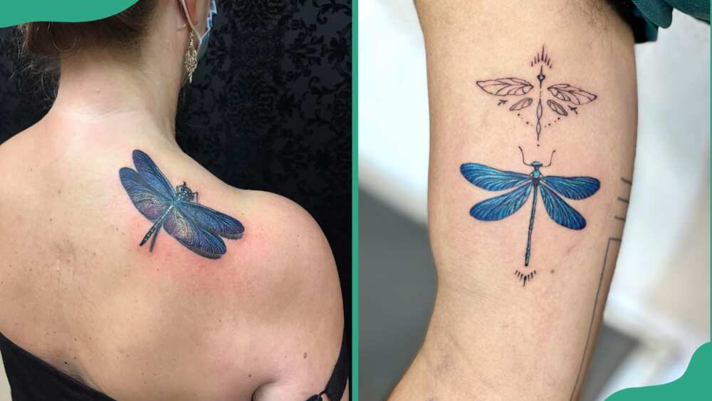 Blue dragonfly tattoos