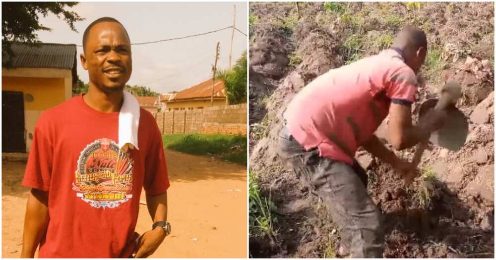 Daniel Gbenda, law student who is a farmer, Benue state