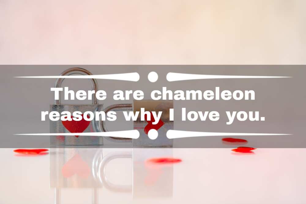 i love you puns i love you puns