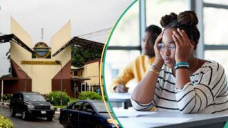 “Callous, Insensitive”, group reacts to tuition fees increase in Nigerian universities