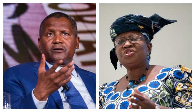 Dangote ya bukaci a bawa Okonjo Iweala babban mukami a WTO