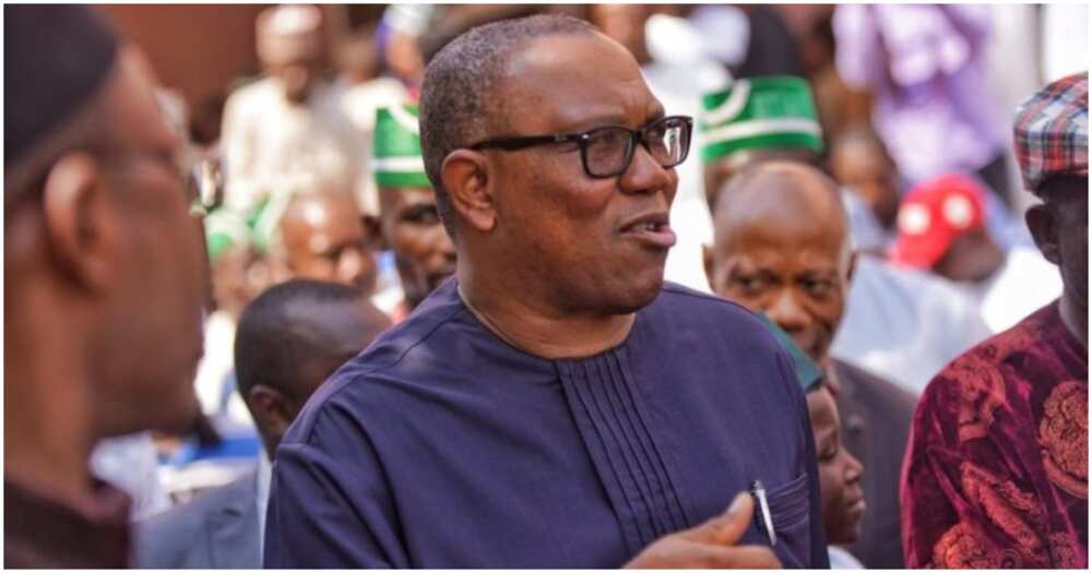 Labour Party, Peter Obi, consumption to production theory, federal borrowing