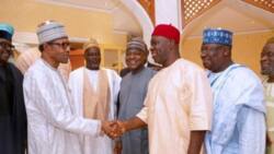 This is how executive order is breeding dictatorship in Nigeria - Ex-deputy Senate president reveals, knocks Buhari