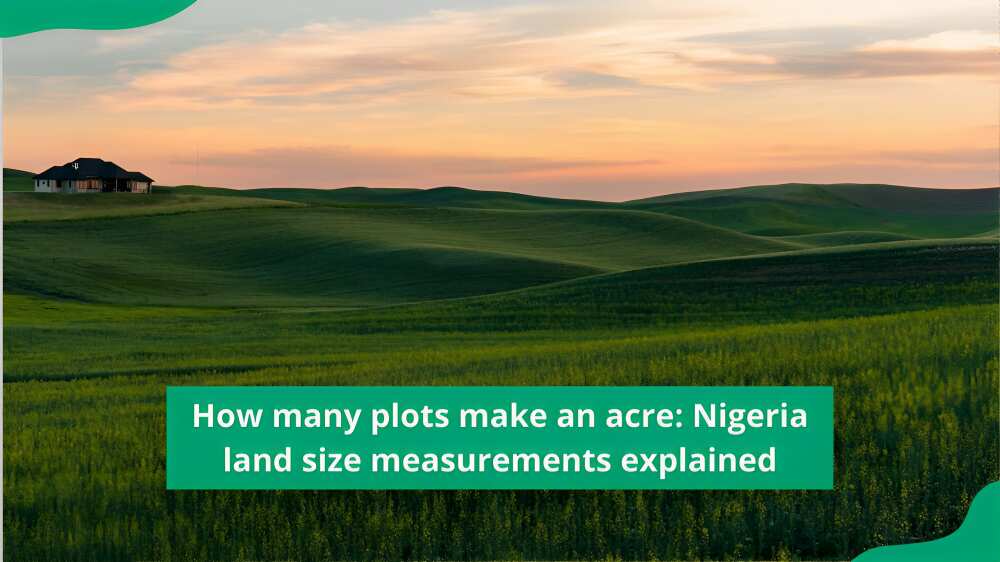 how many plots make one hectare