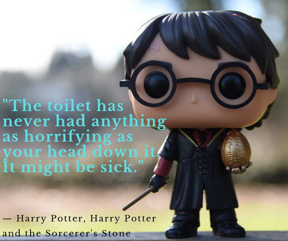 Funny Harry Potter quotes