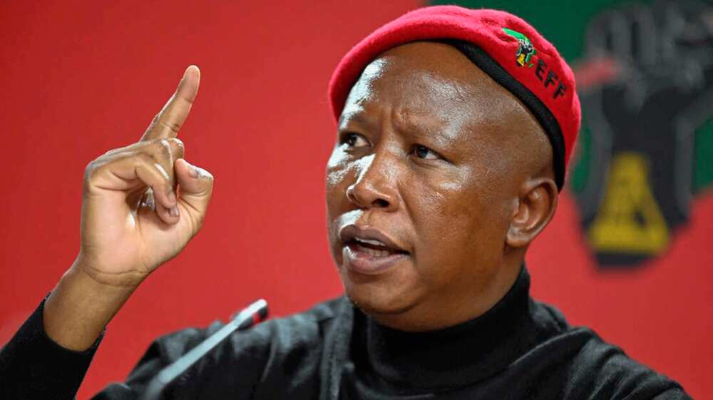 Malema