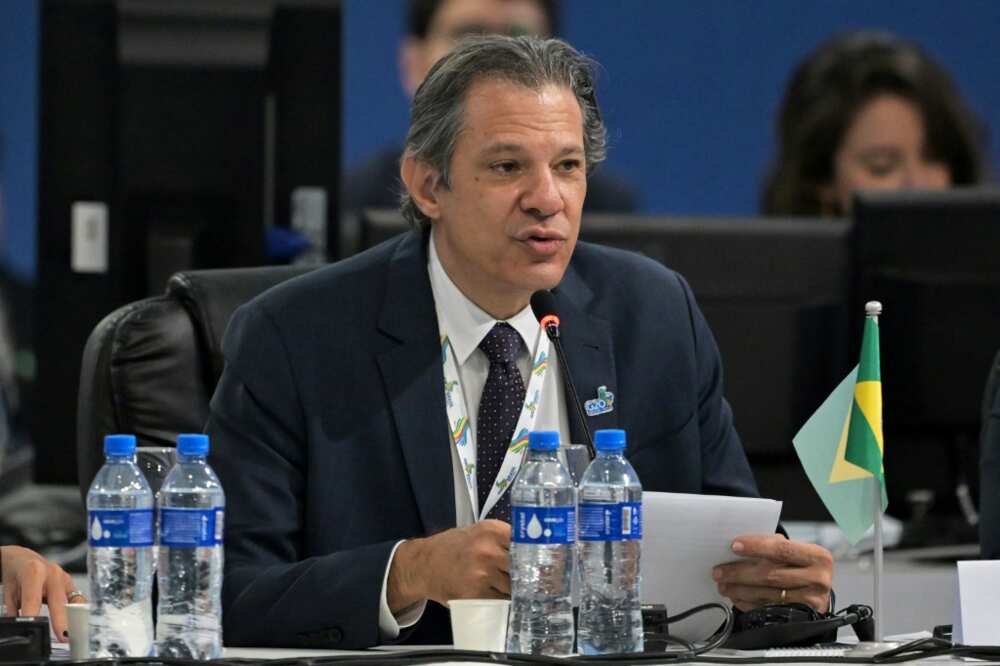 Brazilian Finance Minister Fernando Haddad speaks during the G20 finance ministers meeting in Sao Paulo, Brazil