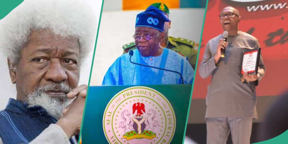 President Bola Tinubu names Arterial Road N20 from Northern Parkway to Outer Northern Expressway (ONEX) after Wole Soyinka