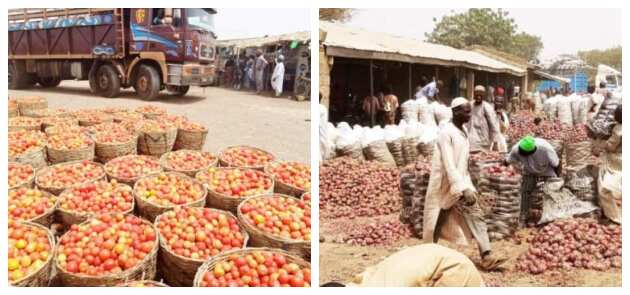 Food blockade: Fate turns against northern farmers as they lose big time in onion, tomato trade