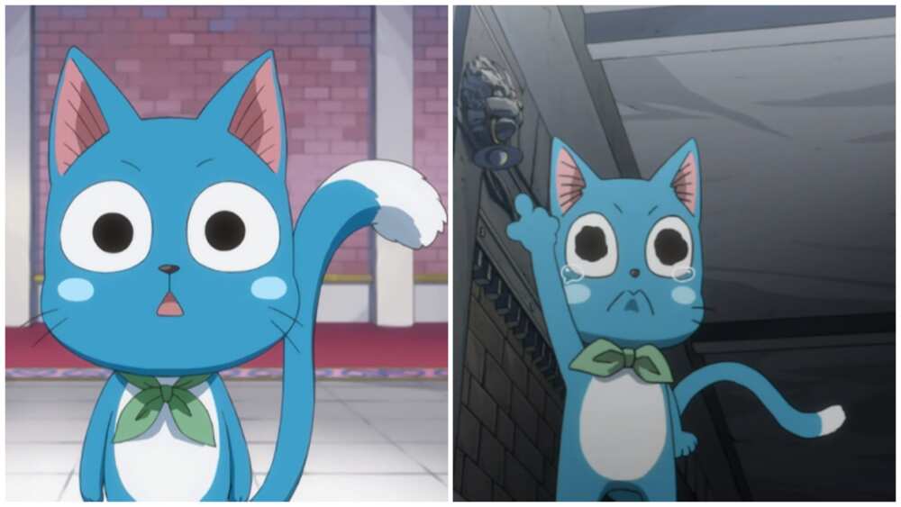 Anime cats: the surly, the sneaky, the sweet! – Anime Hanabi