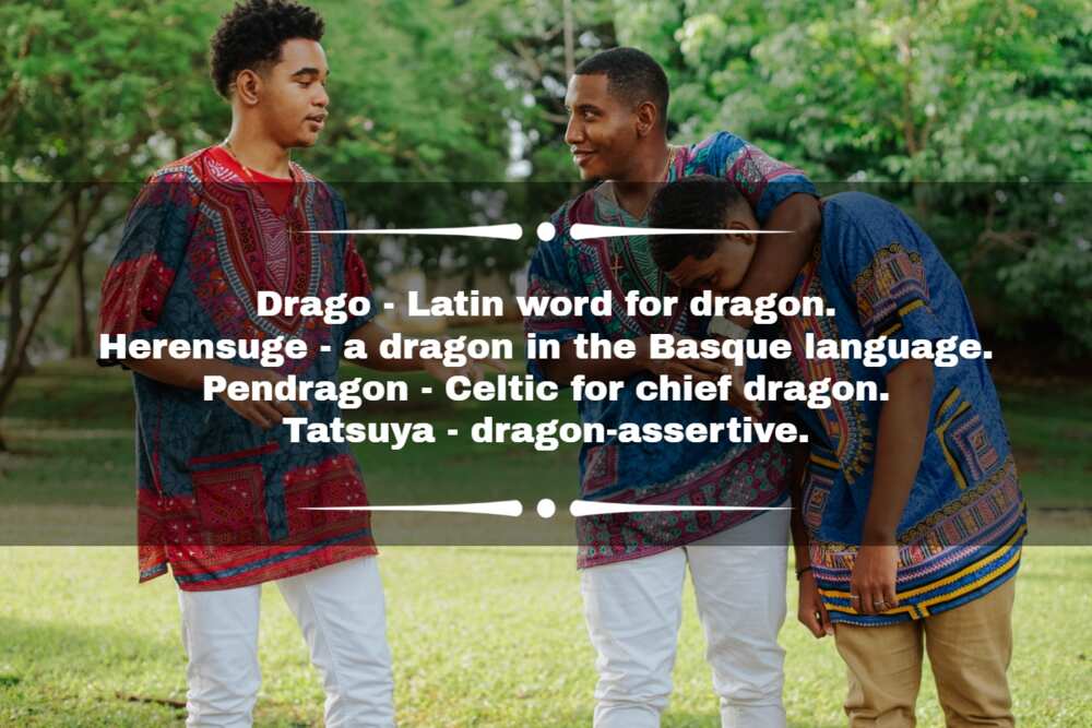 Famous male dragon names