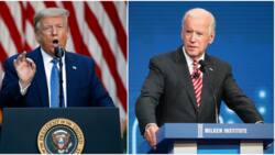 LIVE UPDATE: Joe Biden on the verge of presidency after leading Trump in key states (photos, video)