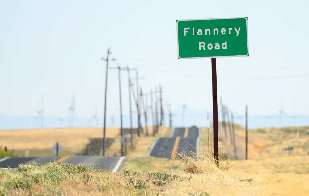 Swaths of rural land between San Francisco and Sacramento, in the western US state of California, were secretly purchased by tech tycoons keen on building a new city Swaths of rural land between San Francisco and Sacramento, in the western US state of California, were secretly purchased by tech tycoons keen on building a new city