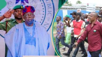 Mafita: Jigon APC ya ba da shawarwari 5 ga Tinubu don magance aukuwar yajin aiki
