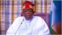 New report reveals names of prominent politicians, others who may make Tinubu's ministerial list