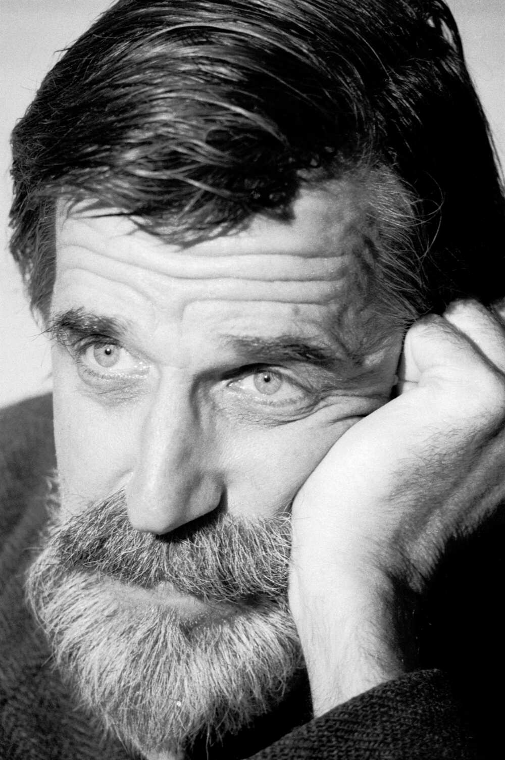 Exploring The Life And Legacy Of Fred Gwynne An Iconic Actor And Author