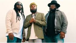 Grammy-winning reggae group Morgan Heritage releases single, to drop album with Made Kuti, Stonebwoy, others