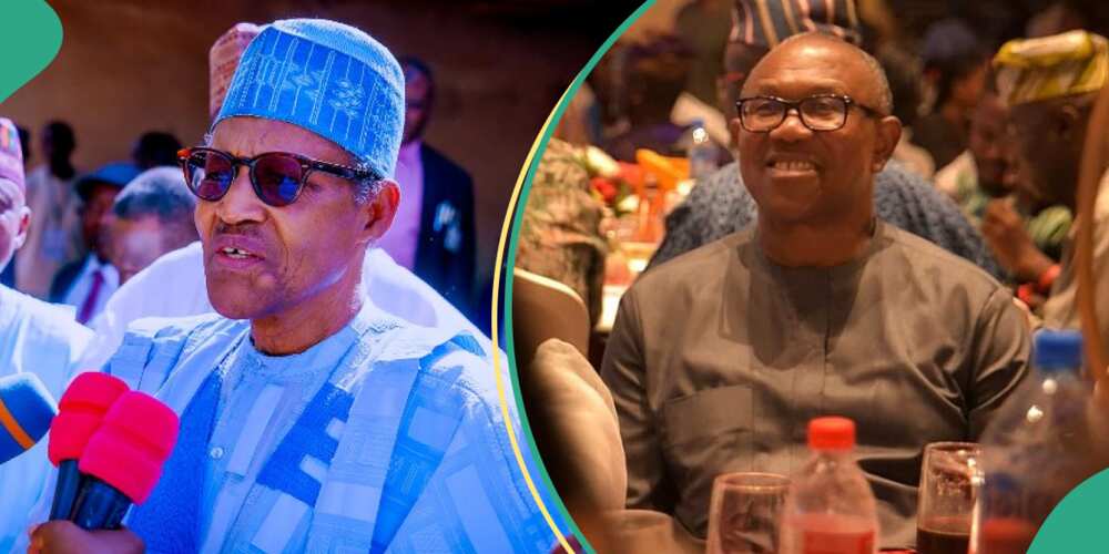 Peter Obi has been compared to former President Muhammadu Buhari in the way they both pursued their presidential ambition and he was urged to return to the PDP.