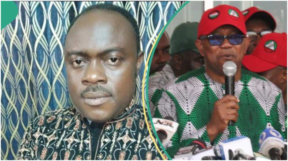 Peter Obi/Prophet David Kingleo Elijah/Supreme Court/Presidential Election Petition Court/PEPC/Anambra Peter Obi/Prophet David Kingleo Elijah/Supreme Court/Presidential Election Petition Court/PEPC/Anambra