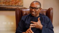 'I'll be in charge,' Peter Obi gives concise differentiation between office of president, VP in fresh video