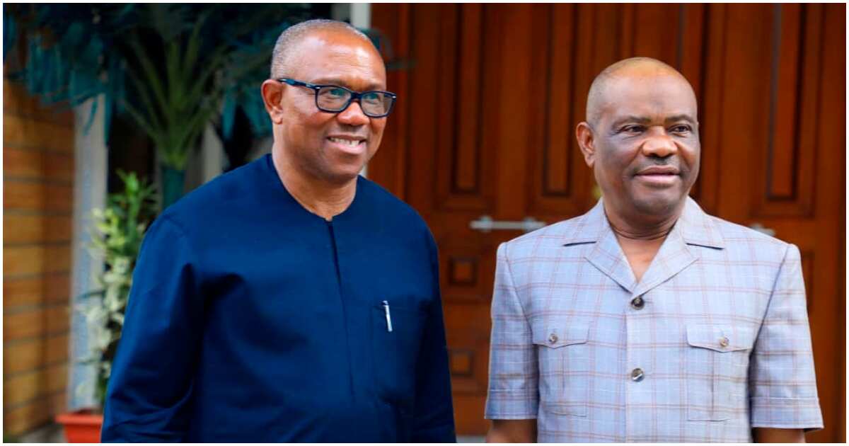 2023: Peter Obi's alleged trade-off with Wike, Ortom causes stir in Labour Party