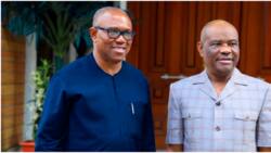 2023: Peter Obi's ambition shaky as Rivers LP candidate blasts ex-gov over alleged trade-off with Wike, Ortom