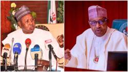 Arms for civilians: Masari’s call evidence of Buhari’s failure, SANs alleges