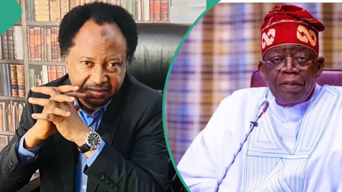 “With subsidy, no light”: Shehu Sani questions Tinubu's decision to remove electricity subsidy