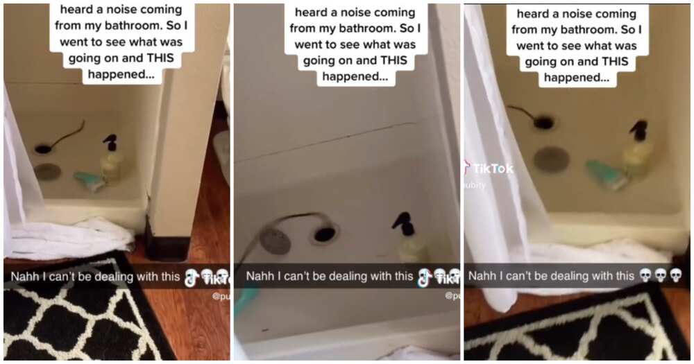 Bathroom, lady, noise, plumbing snake