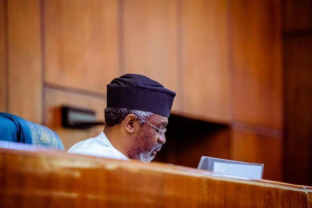 At Last! Gbajabiamila Accepts Nigeria in Diaspora Petition Rejected by House of Reps Deputy Speaker