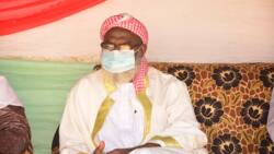 Bandits kidnapped Sheikh Gumi's elder brother, killed family driver's son