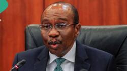 EFCC, DSS attempted to abduct Emefiele? Correctional Service opens up