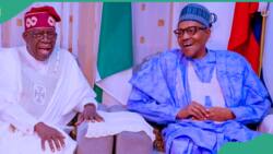Yoruba appointments? APC chieftain speaks on Tinubu’s choice: “Buhari did the same”