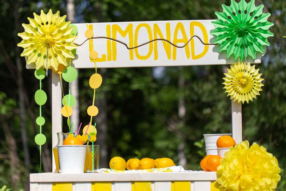 Selling lemonade in a summer park