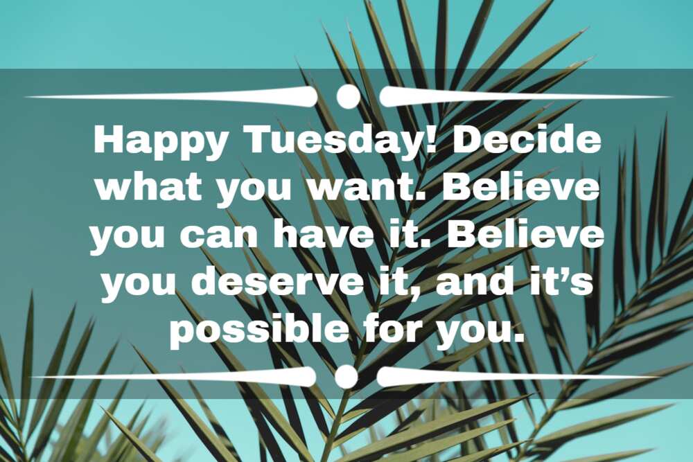 100+ Happy Tuesday Quotes, Inspirational Tuesday Quotes in 2023