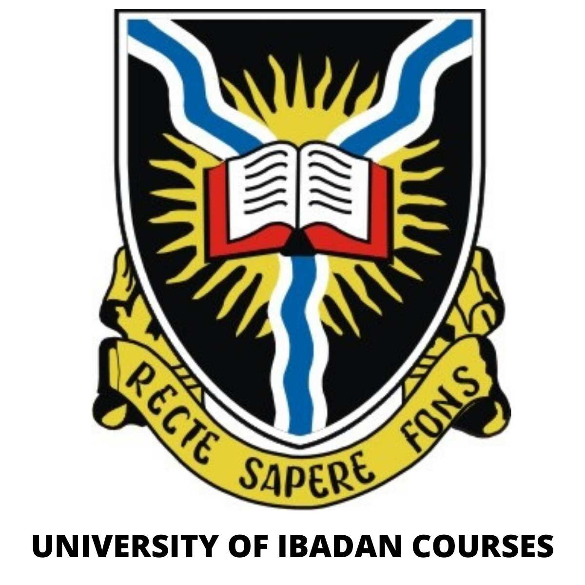 University of Ibadan courses and their requirements in 2020/2021