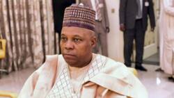 "Ba A Taba Yin Ingantaccen Zabe Na Gaskiya Kamar Na 2023 Ba A Najeriya", Kashim Shettima