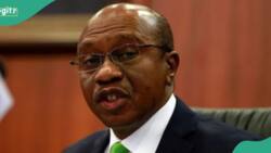 Nigerian Bank allegedly owned By Emefiele opens up on relationship with Union Bank