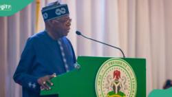 2027 Presidency: Why we will vote for Tinubu, Arewa group explains
