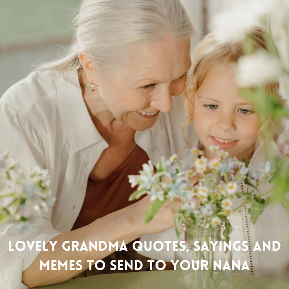 Grandma quotes