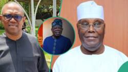 Atiku, Obi vs Tinubu: Muhimman Abubuwa 4 Da Ya Kamata Shugaban Kasa a Najeriya Ya Zama Yana Dasu