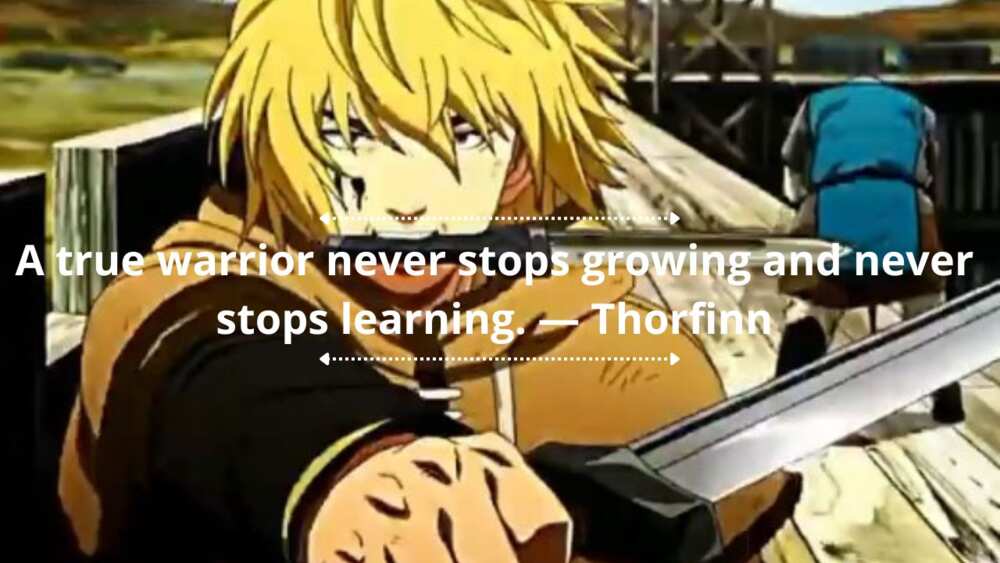 Thorfinn's quotes Thorfinn's quotes