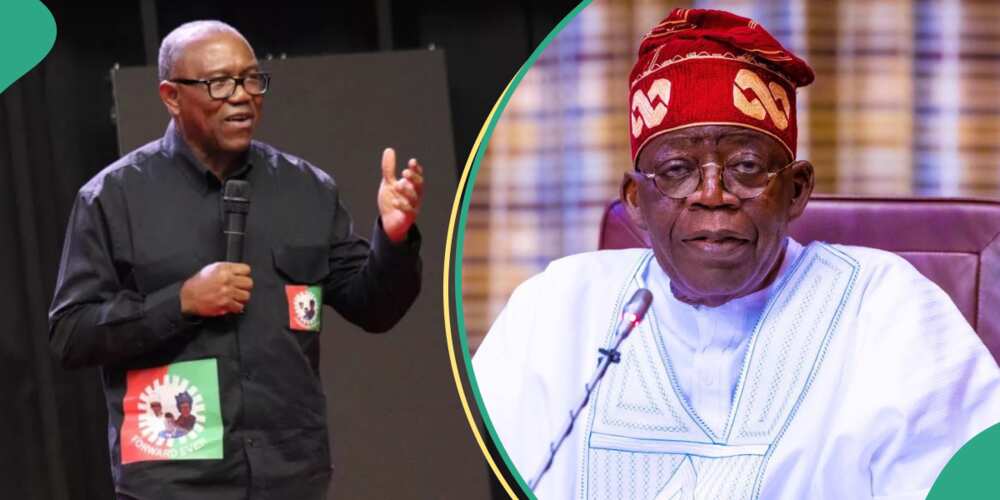 Peter Obi can’t work with President Tinubu’s government