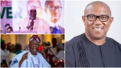Atiku, Tinubu or Obi? Former governor reveals presidential candidate Nigerians should campaign, vote for
