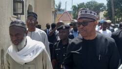 Abubuwan da Na Tambayi Peter Obi a Zaman da Nayi da Shi inji Sheikh Ahmad Gumi