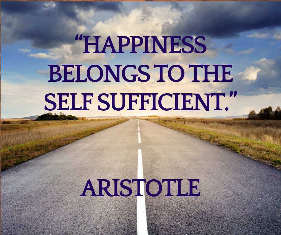 aristotle quotes happiness