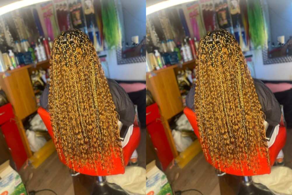 goddess box braids