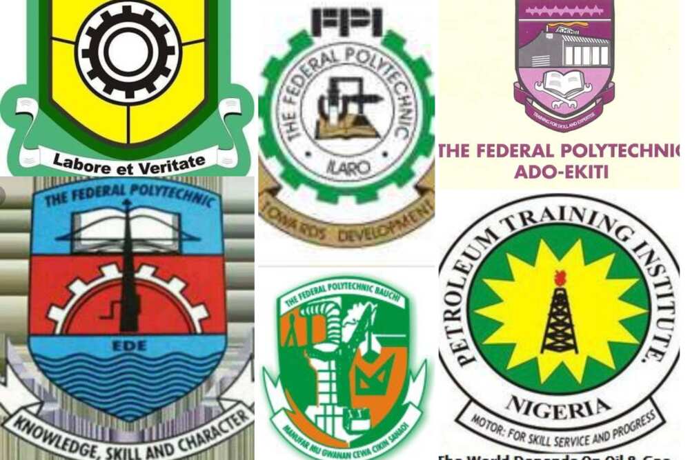 Best polytechnic in Nigeria Top 10 educational institutions Legit.ng